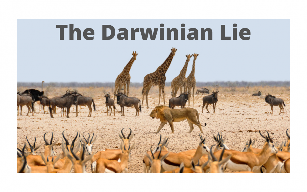 The Darwinian Lie – And How It DOESN’T Relate To Strategy.